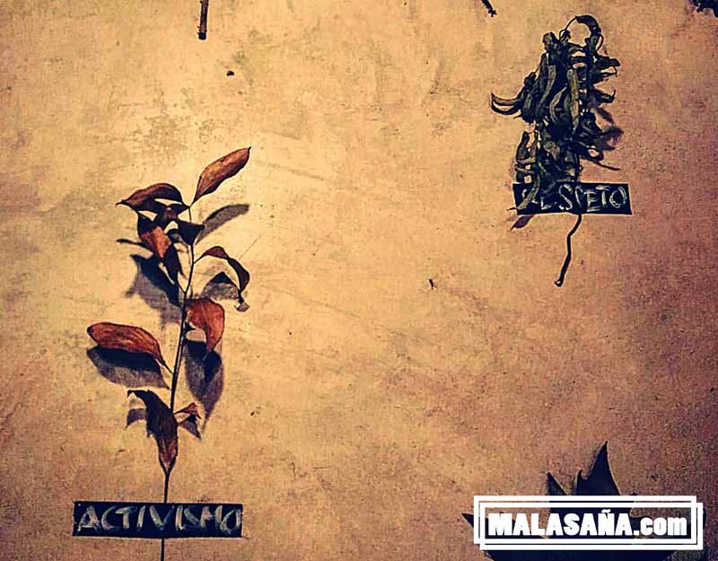 decoración del local