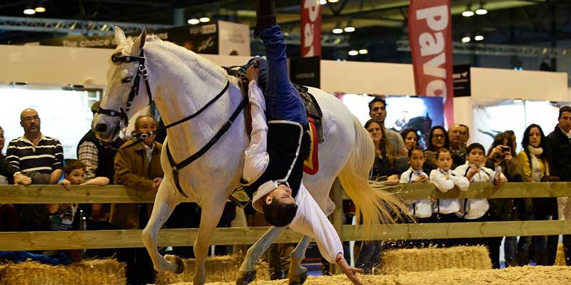 hombre haciendo demostraciones encima de caballo