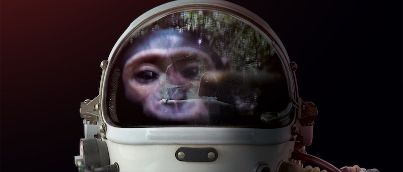 mono astronauta