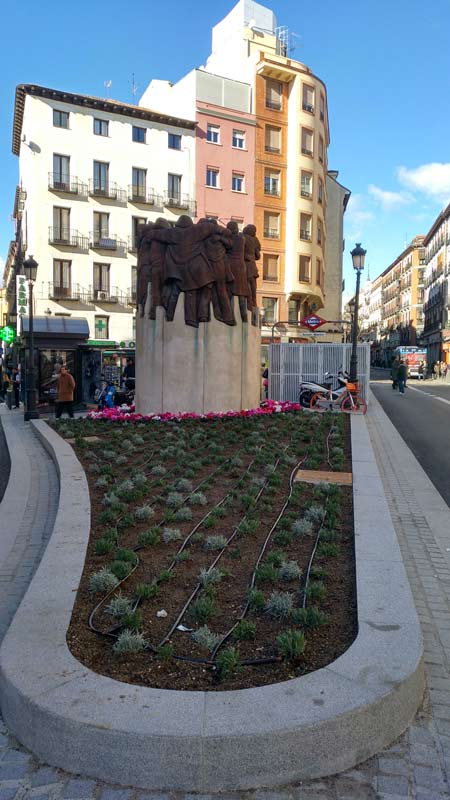 Renovación del espacio verde en la Plaza de Antón Martín
