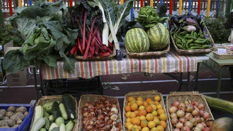 Conjunto de frutas y verduras dispuestas en un mercado improvisado junto a un parque