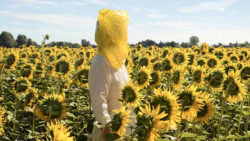 Obra de Elina Brotherus con un campo de girasoles y una mujer en medio llevando una bolsa amarilla en la cabeza