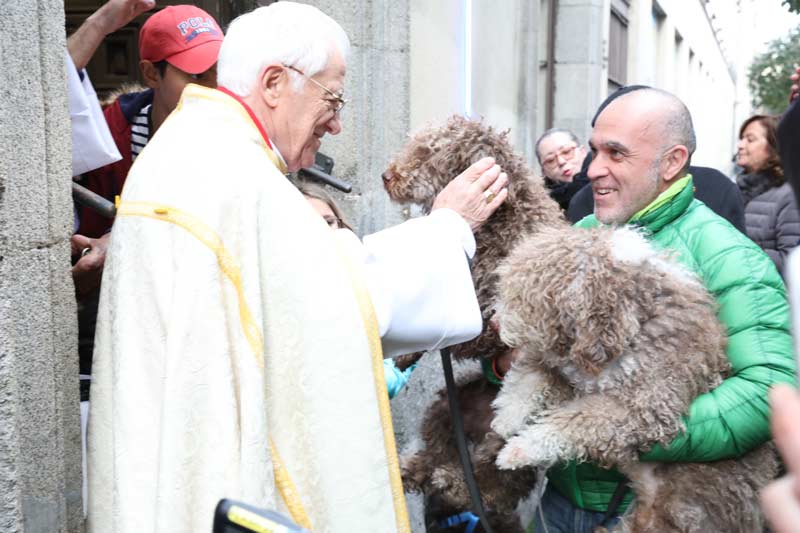 Un cura bendiciendo a un perro que está en los brazos de un hombre.