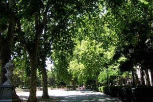 Paseo del Prado de Madrid.